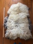 SOLD Navajo Churro Sheepskin 9 SOLD Navajo Churro Sheepskin 9